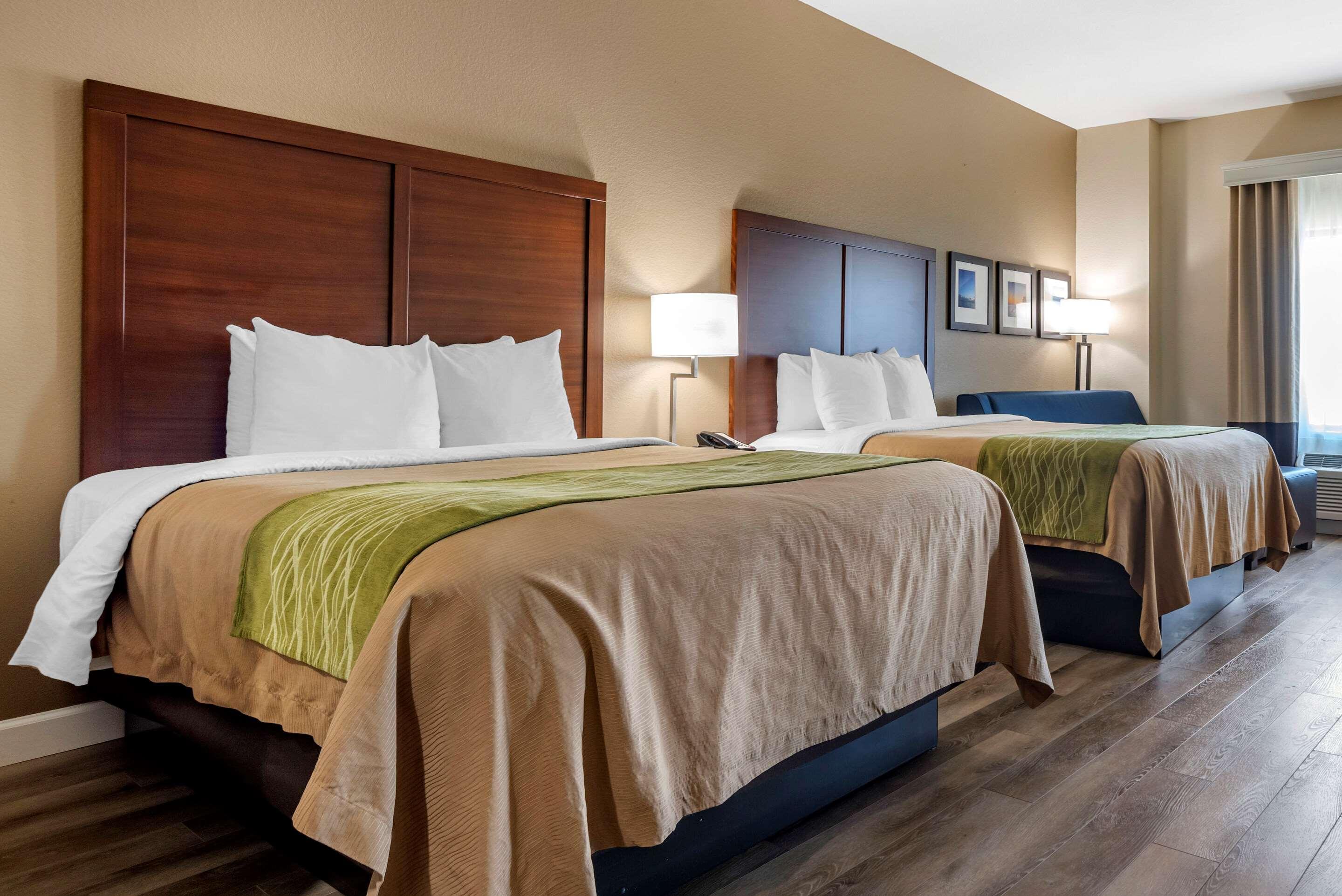 פורט וולטון ביץ' Comfort Inn & Suites מראה חיצוני תמונה
